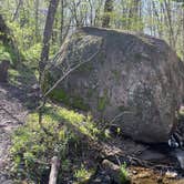 Review photo of Grammer Grove Wildlife Area by Russell  T., May 1, 2026