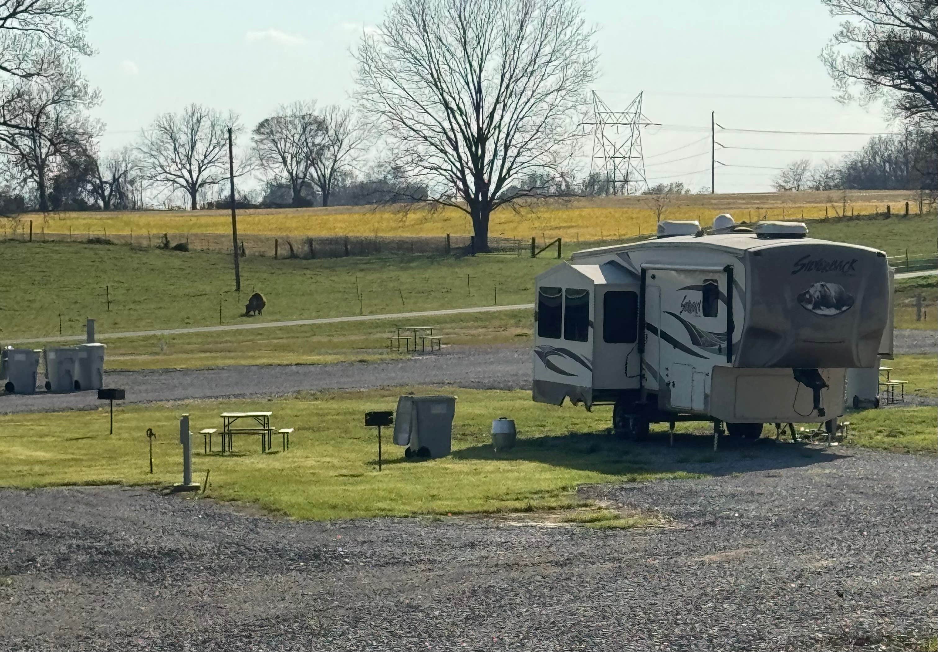 Camper-submitted photo at Travelers Farm RV Park near Henning, TN