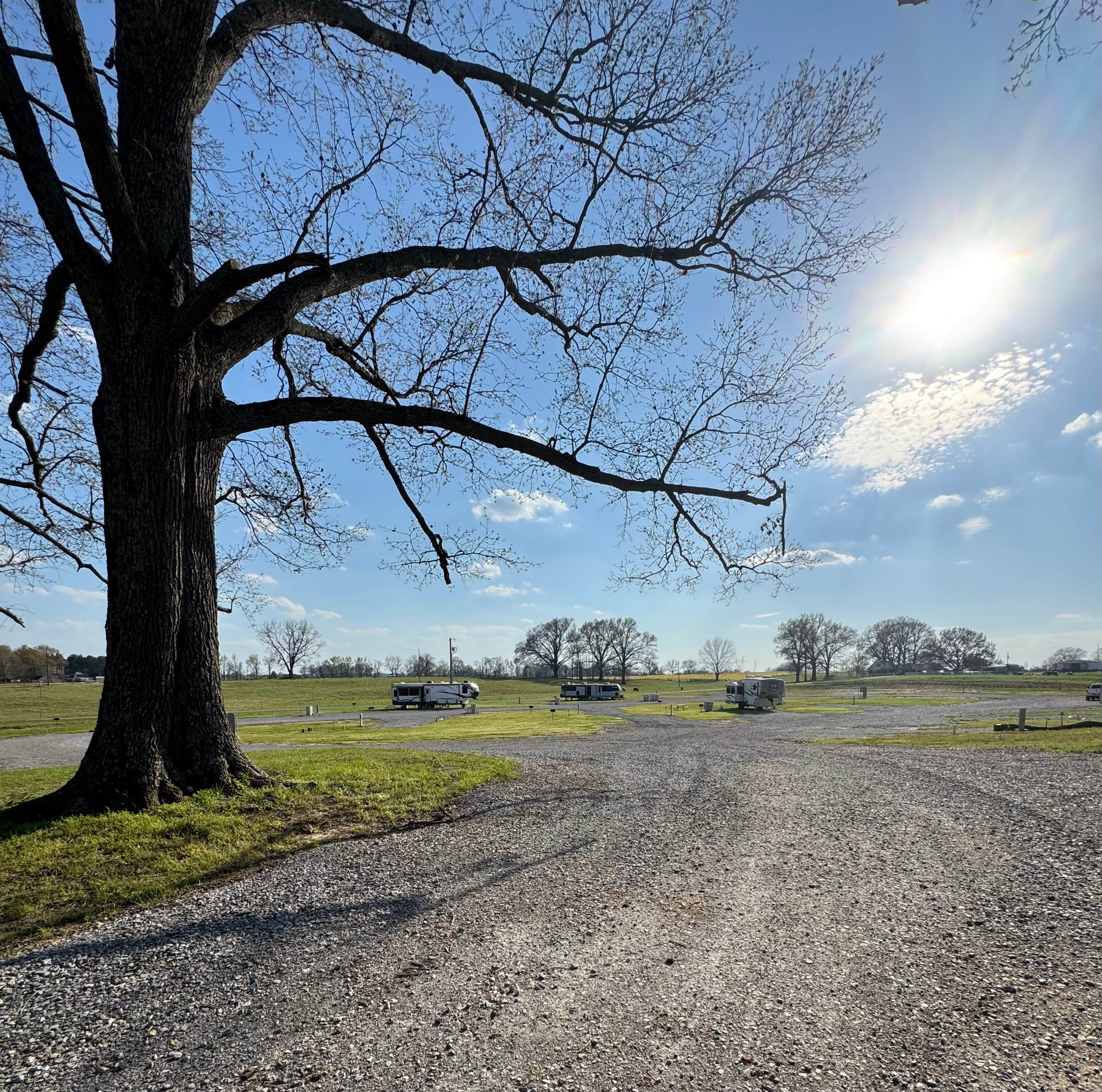 Camper-submitted photo at Travelers Farm RV Park near Henning, TN