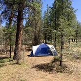 Review photo of Ten-X Campground — Grand Canyon National Park by Sarah L., September 29, 2016