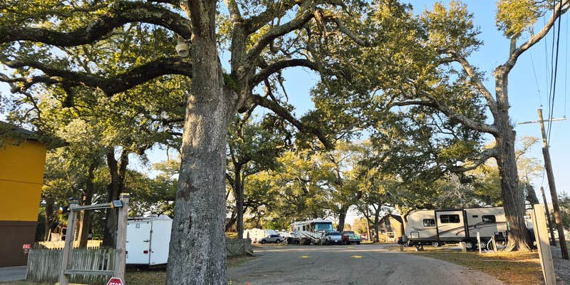 Camper submitted image from Biloxi Beachside RV Park