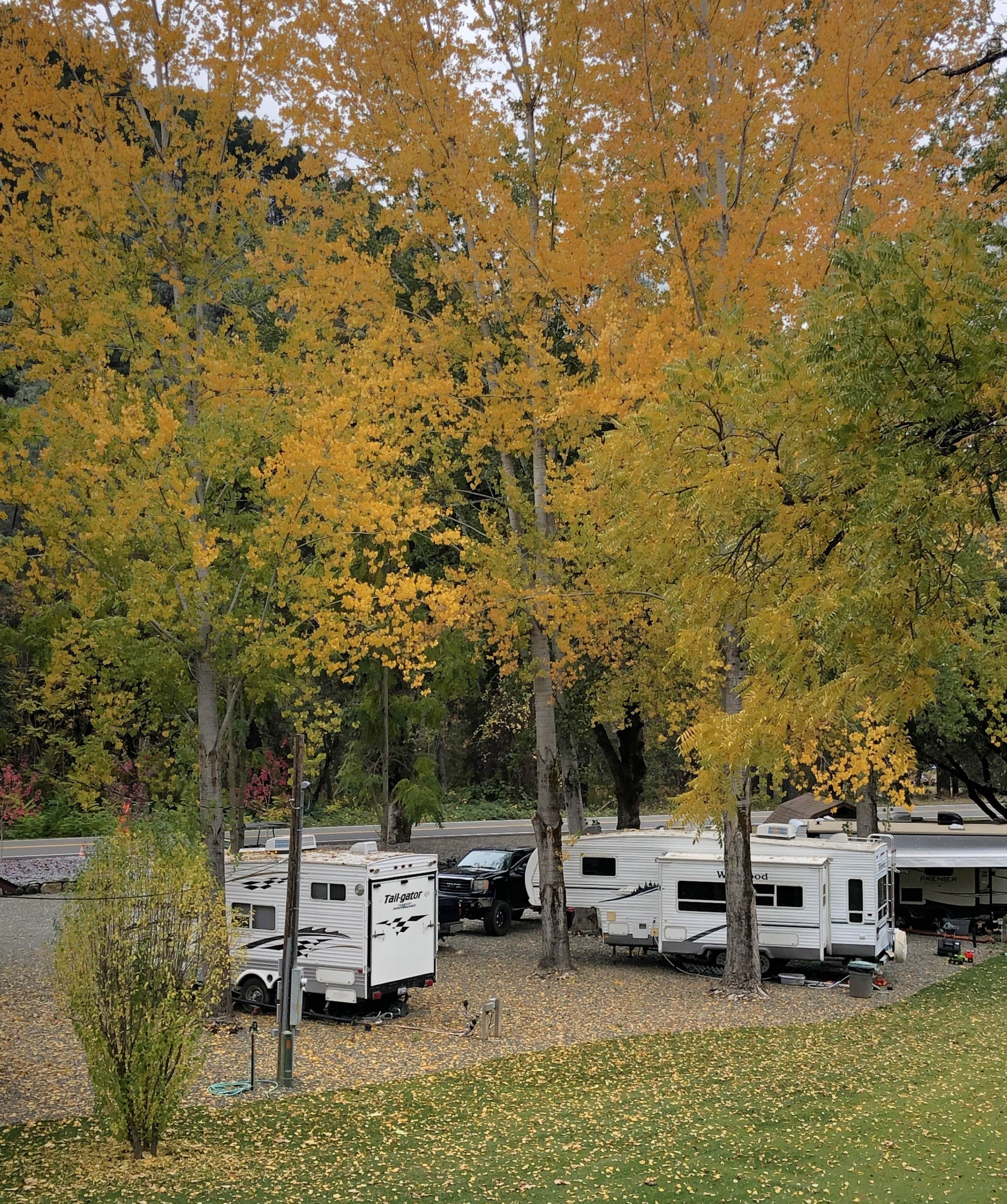 Camping near Big Slide Campground: Steelhead Cottages, Helena, California