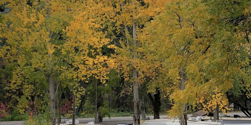 Camper submitted image from Steelhead Cottages