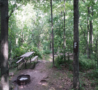 Camper-submitted photo from Lucius Woods County Park