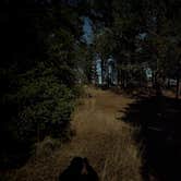 Review photo of Natick Campground by William S., May 4, 2026