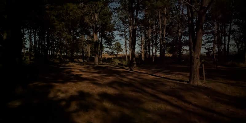 Camper submitted image from Natick Campground