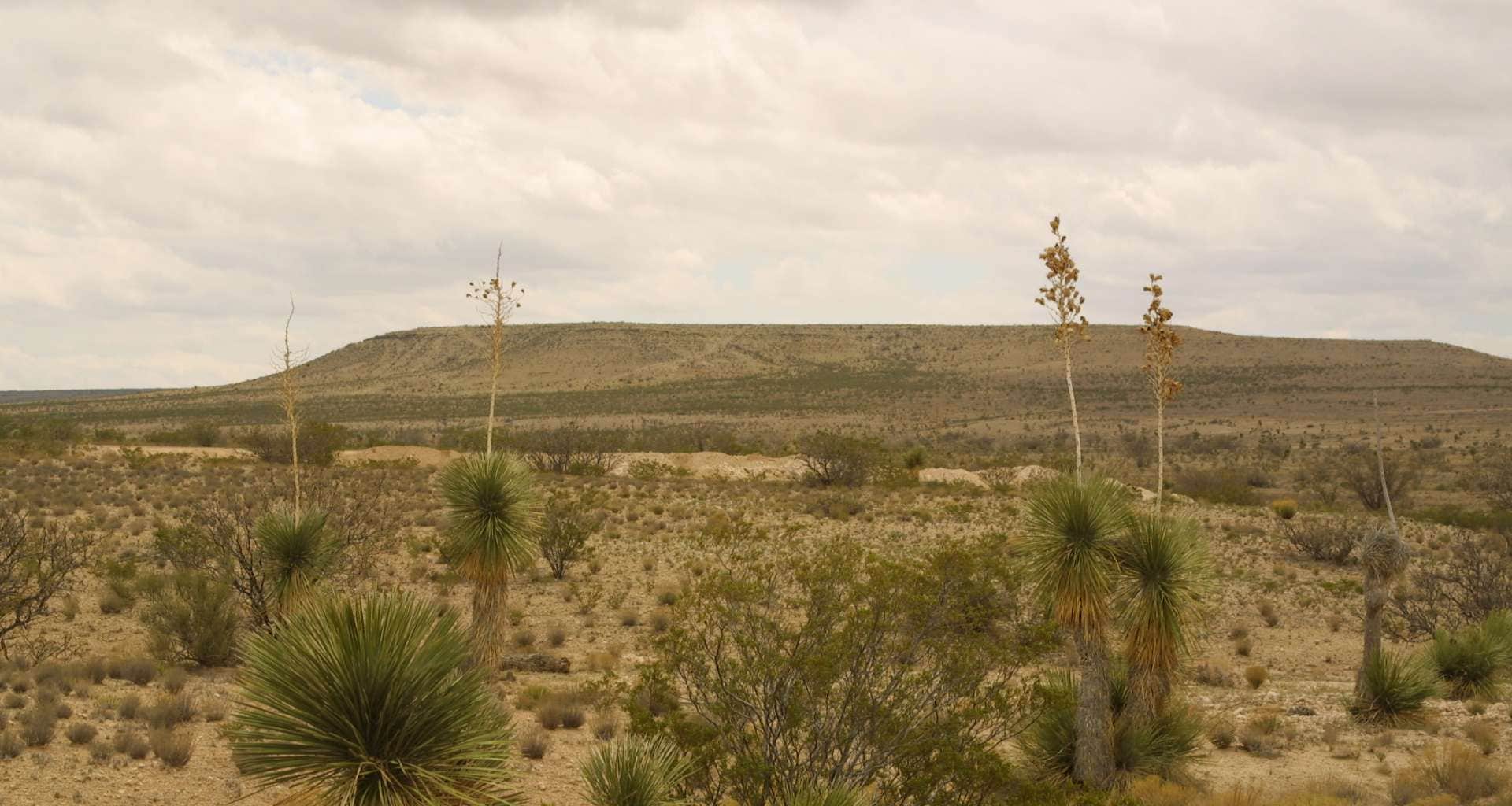 Camping near I-10 Rest Area: Pink Ranch Camping at Sunset Ranches, Clint, Texas