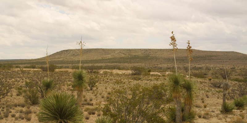 Camper submitted image from Pink Ranch Camping at Sunset Ranches