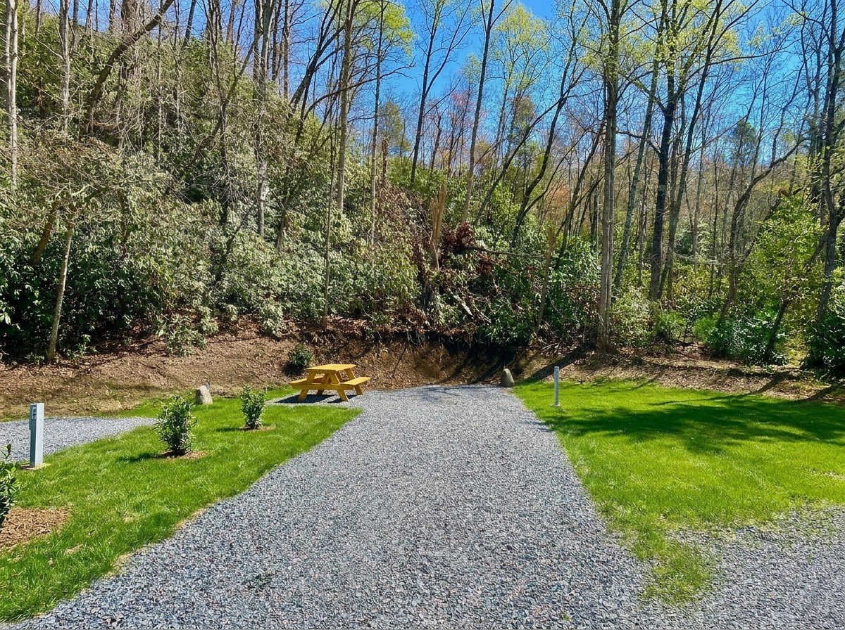 Camper-submitted photo at Ecusta RV park near Lake Lure, NC
