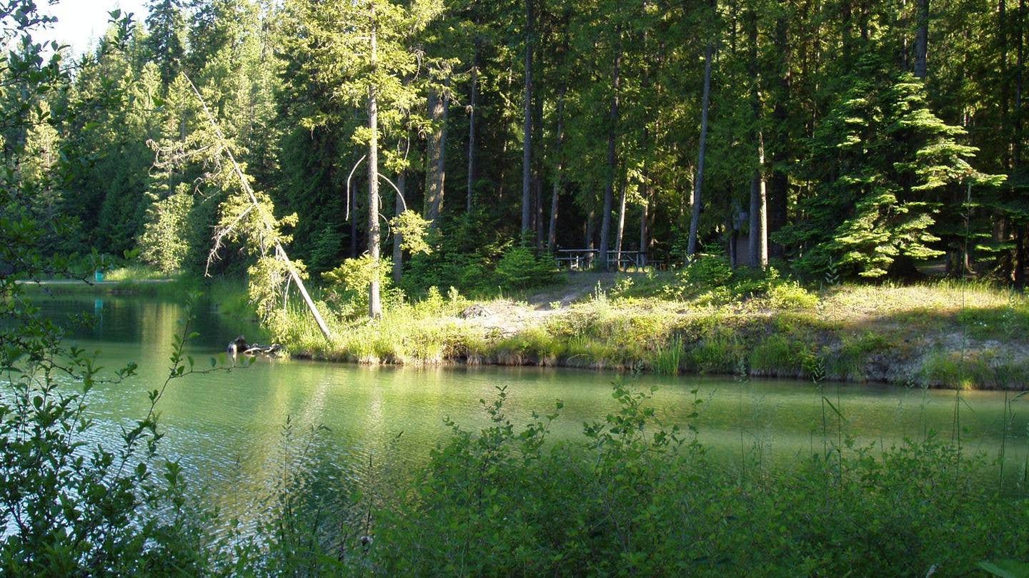 Camper-submitted photo at Albeni Cove near Idaho Panhandle National Forests