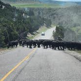 Review photo of Wolverine Canyon by Heather T., May 6, 2026