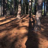 Review photo of El Dorado National Forest, off Cal Hwy 88 by Norman J., May 7, 2026