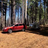 Review photo of El Dorado National Forest, off Cal Hwy 88 by Norman J., May 7, 2026