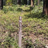 Review photo of El Dorado National Forest, off Cal Hwy 88 by Norman J., May 7, 2026