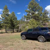Review photo of Turkey Springs by M K., May 7, 2026