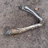 Review photo of Turkey Springs by M K., May 7, 2026