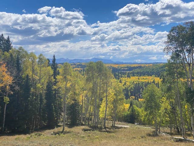 Camper-submitted photo at Darbywoods RV Park near Grand Mesa, Uncompahgre, and Gunnison National Forests