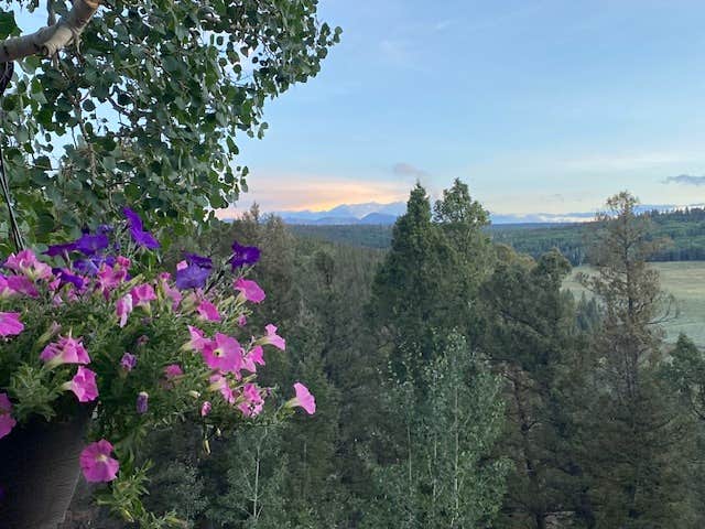 Camper-submitted photo at Darbywoods RV Park near Grand Mesa, Uncompahgre, and Gunnison National Forests