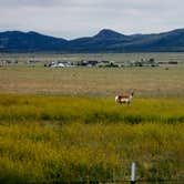 Review photo of Ponderosa - Canyon Ferry Reservoir USBR by Diane  H., September 29, 2016