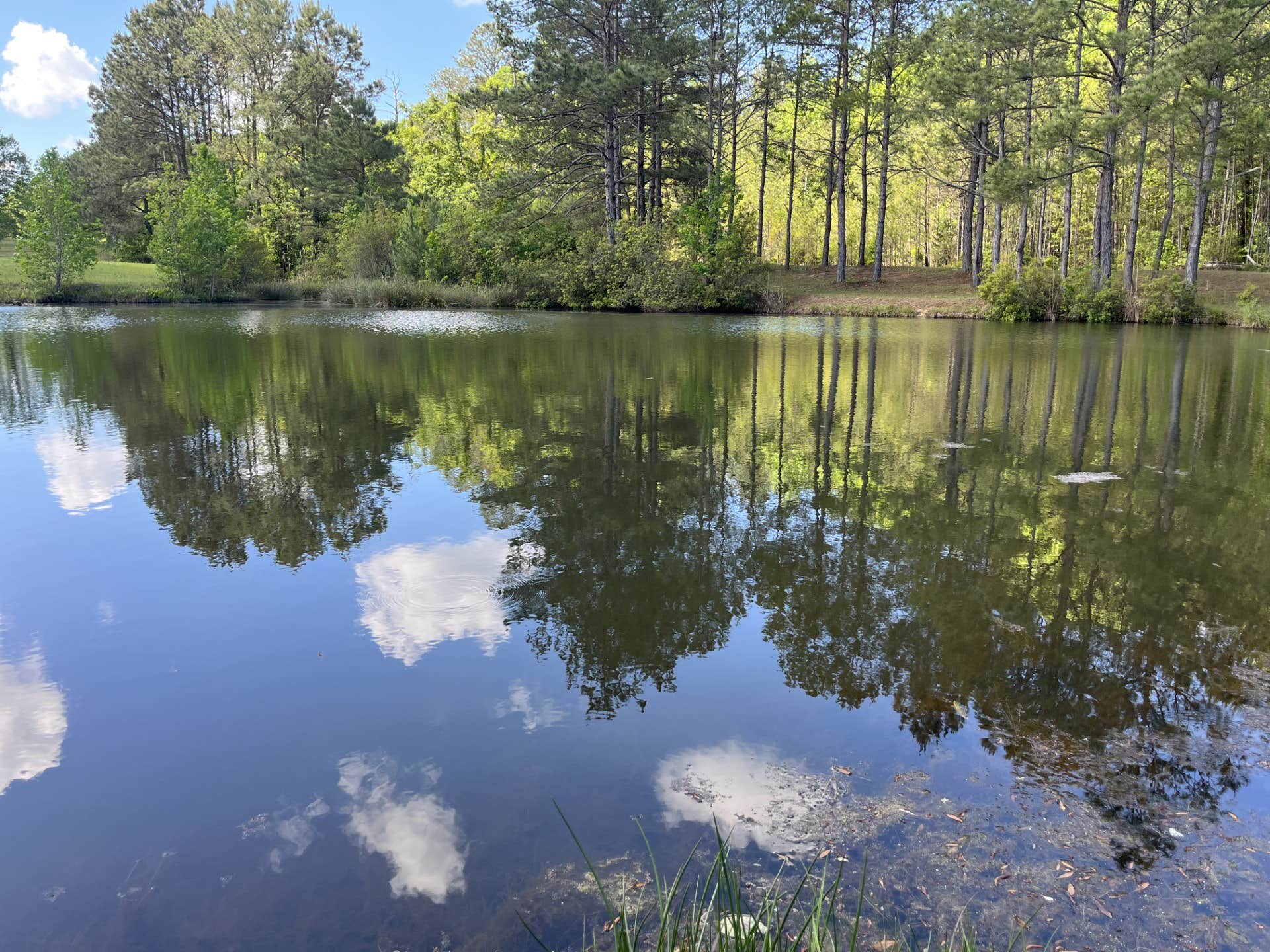 Camper-submitted photo at Deer Run RV Park near Montgomery, AL