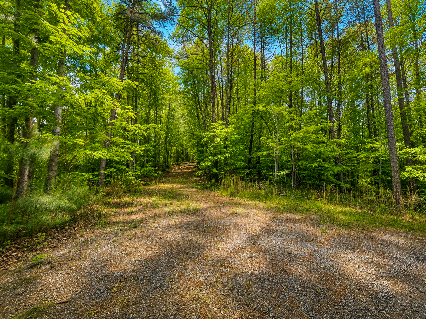 Camping near Maple Ridge RV Park: Frog Creek Hideaway, Rutherfordton, North Carolina