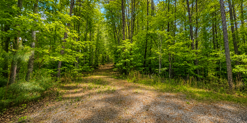 Camper submitted image from Frog Creek Hideaway
