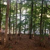 Review photo of Doll Mountain Campground by Lisa W., May 9, 2026