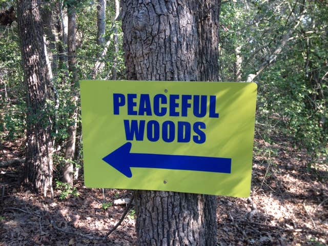 Camper submitted image from Lake Bryan Campground - 2