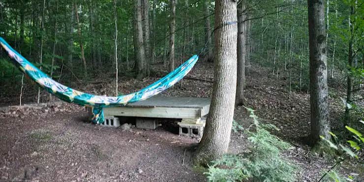 Camper submitted image from Hobbit Hollow Tent Site (walk-in)