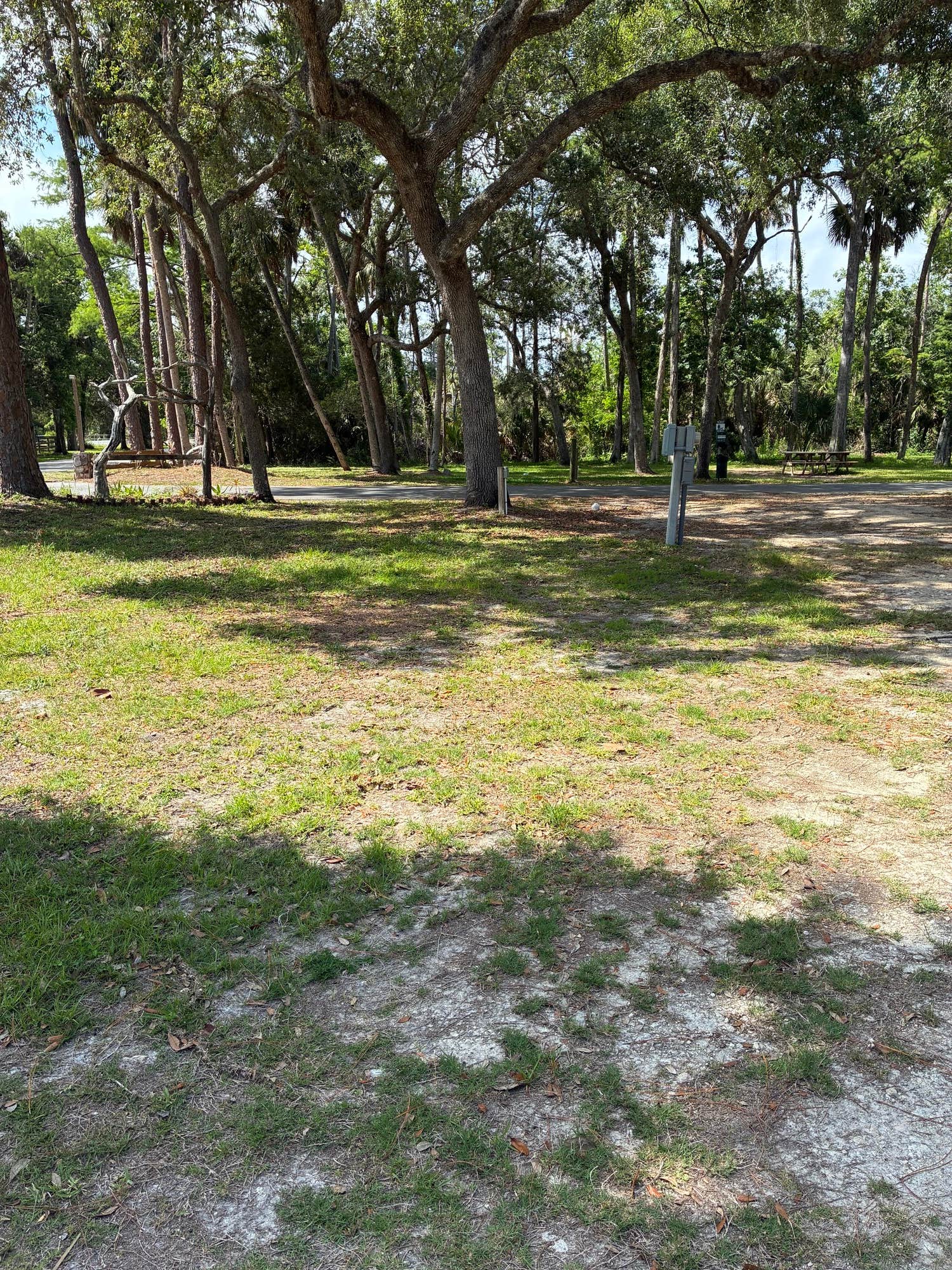 Camper-submitted photo at Eleanor Oaks RV Park near Inglis, FL