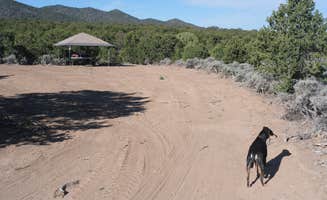 Nor J.'s photo of camping with pets at The Retreat at Sangre near Blanca, CO
