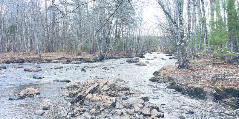 Camper submitted image from Branch Lake Stream Site