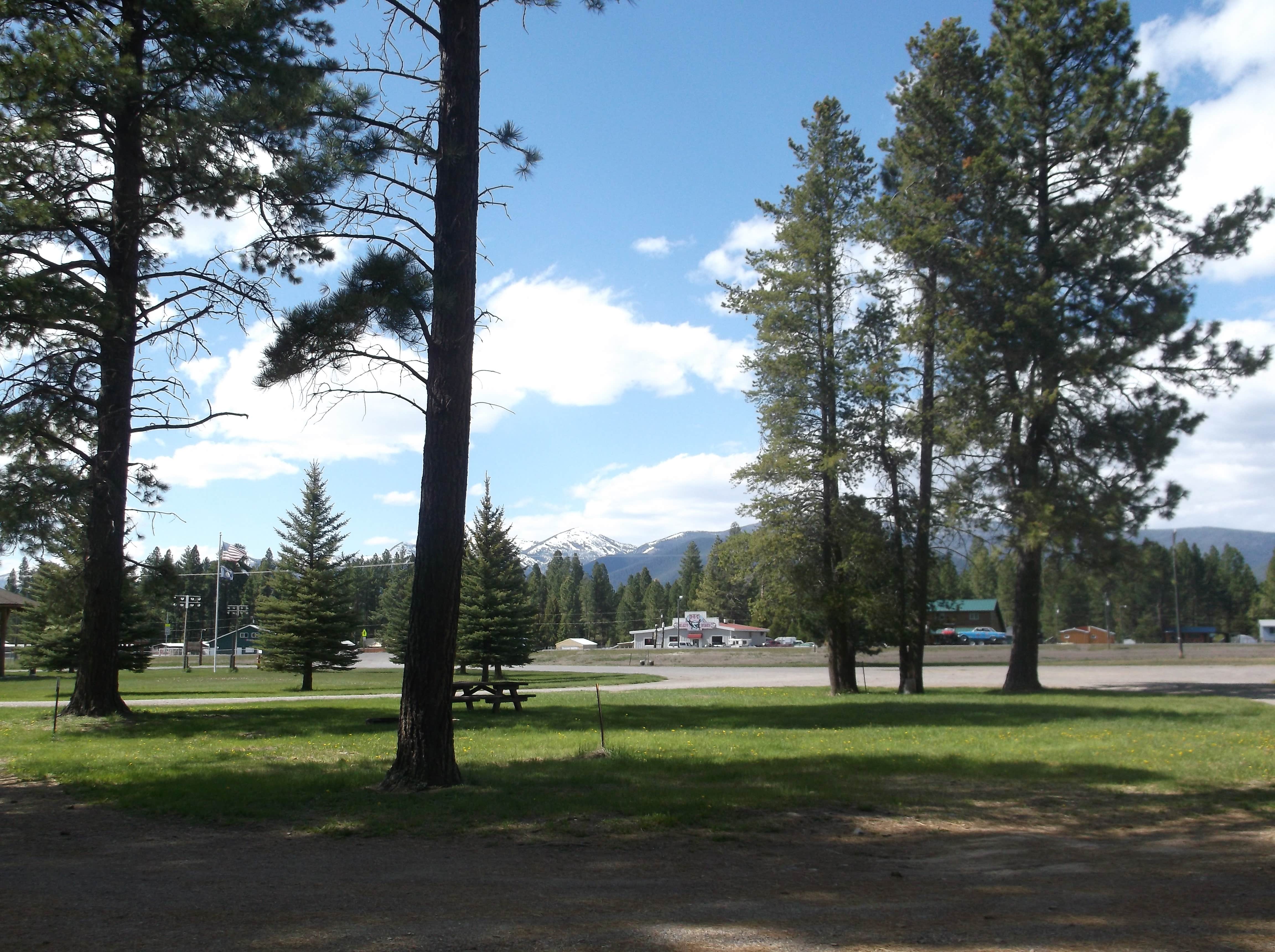 Camper submitted image from Hooper Park - 2