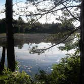 Review photo of Wilderness State Park Camping by Emily B., June 11, 2016