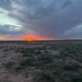 Review photo of Petrified Forest Campground by Julie G., May 15, 2026