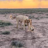 Review photo of Petrified Forest Campground by Julie G., May 15, 2026