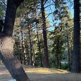 Review photo of Tehachapi Mountain Park by Julie G., May 15, 2026