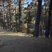 Review photo of Tehachapi Mountain Park by Julie G., May 15, 2026