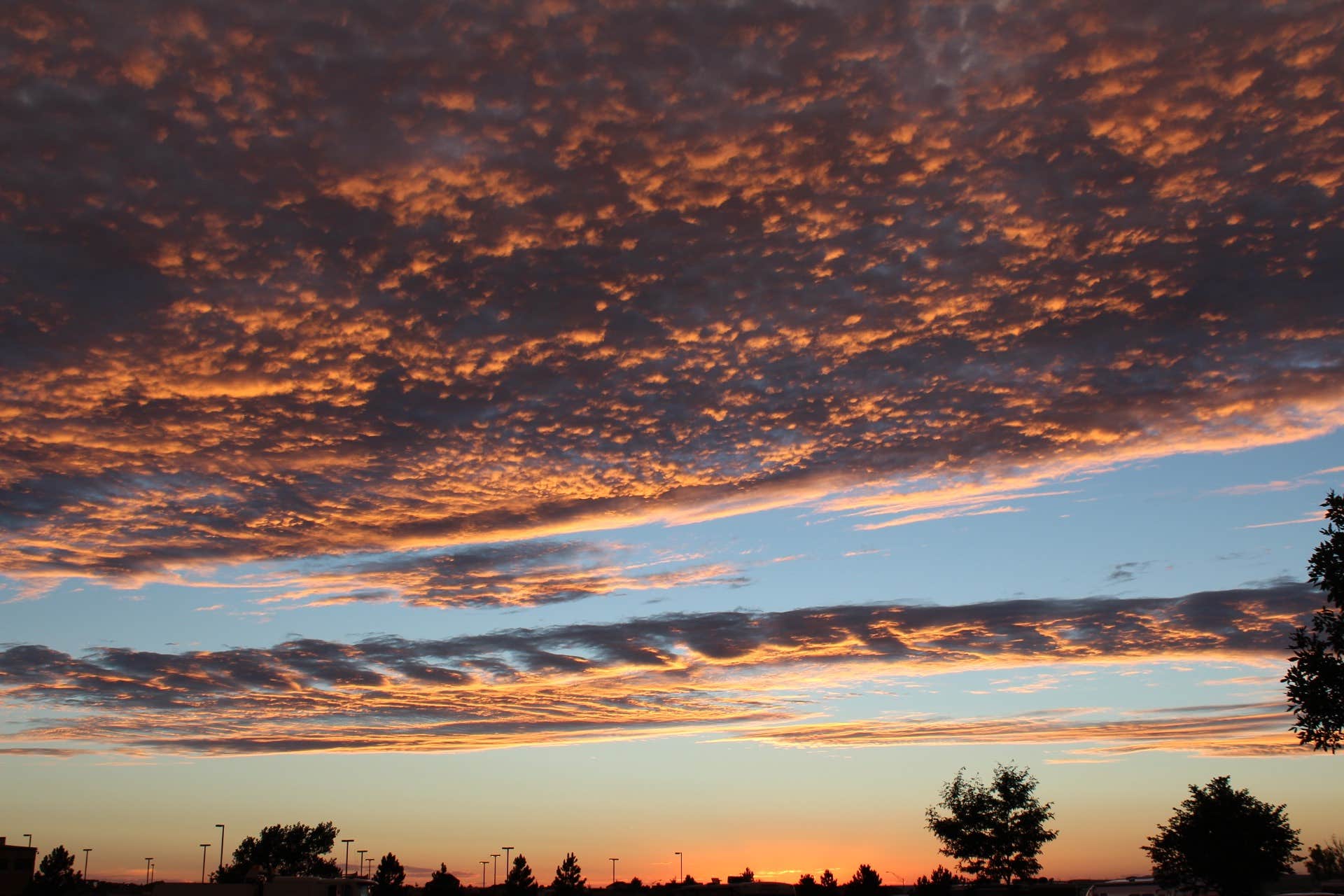Camper-submitted photo at Horseshoe Lake State Park Campground near Normandy, MO
