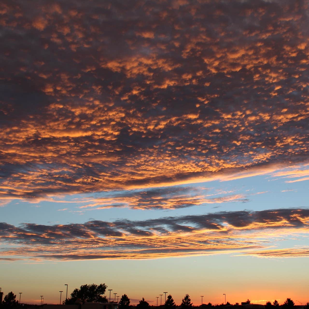 Horseshoe Lake State Park Recreation Area Camping The Dyrt