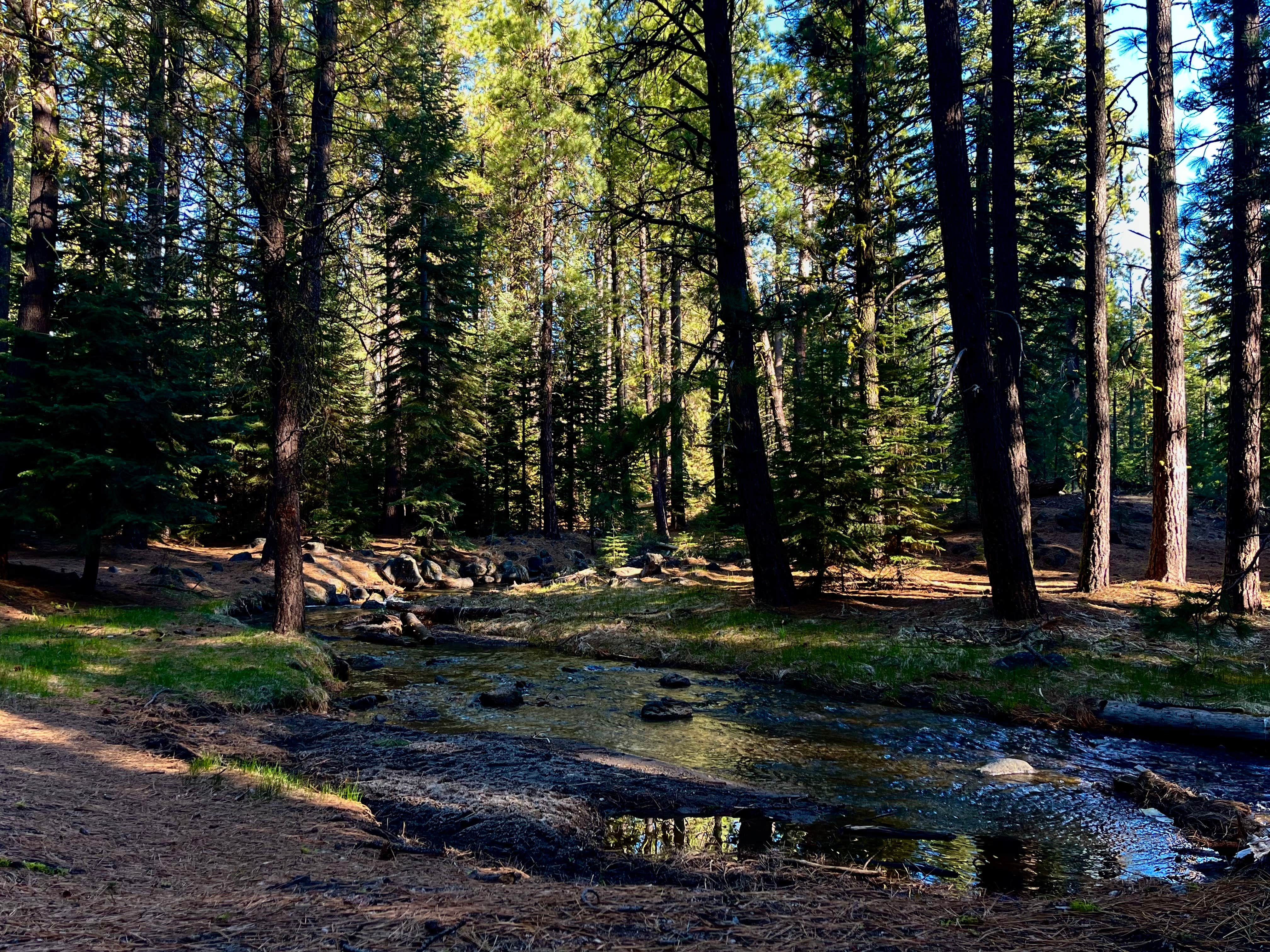 Camper-submitted photo at Big Pine Dispersed Camping near Twain, CA