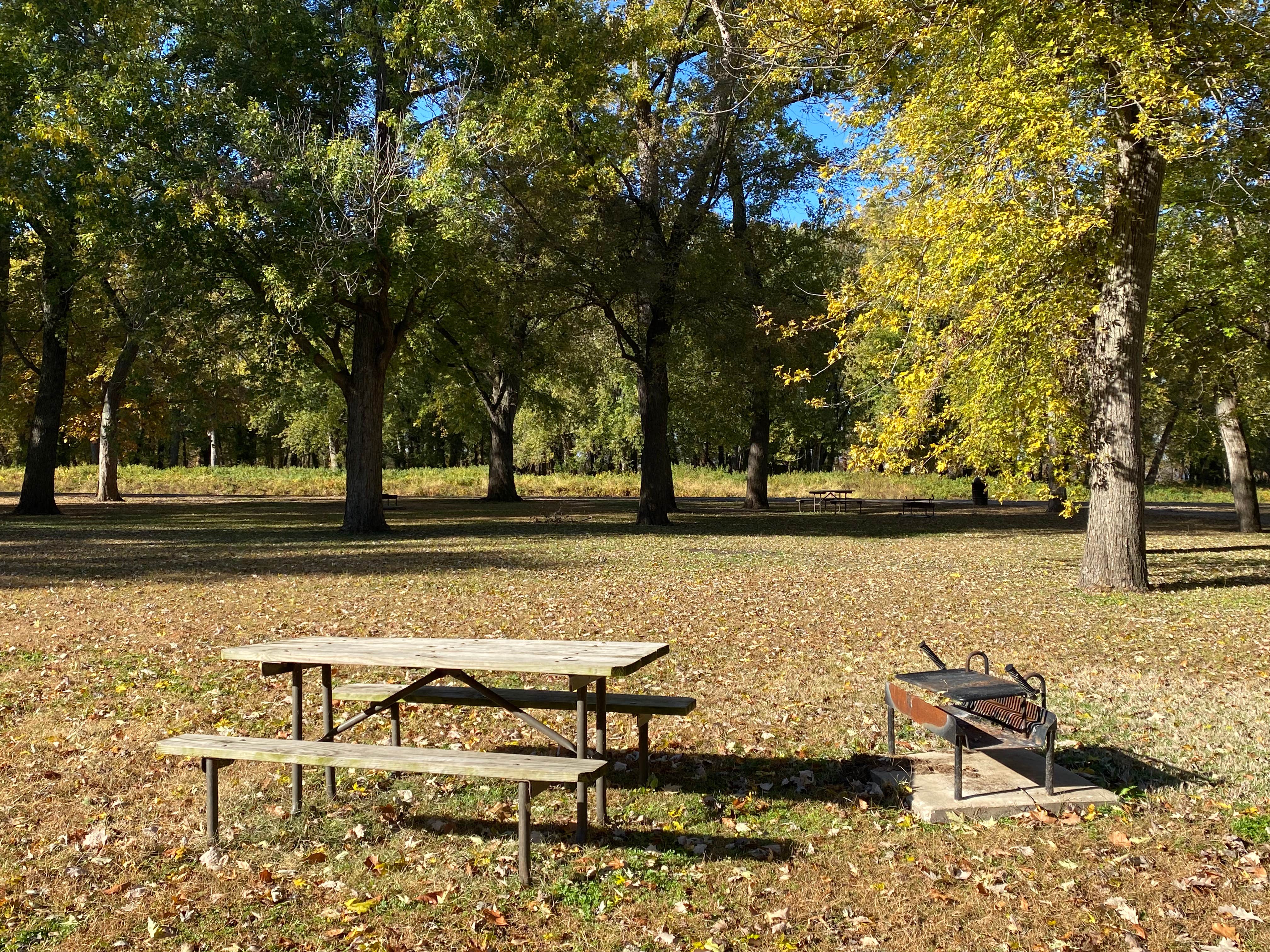 Camper-submitted photo at Woodford State Conservation Area near Downs, IL