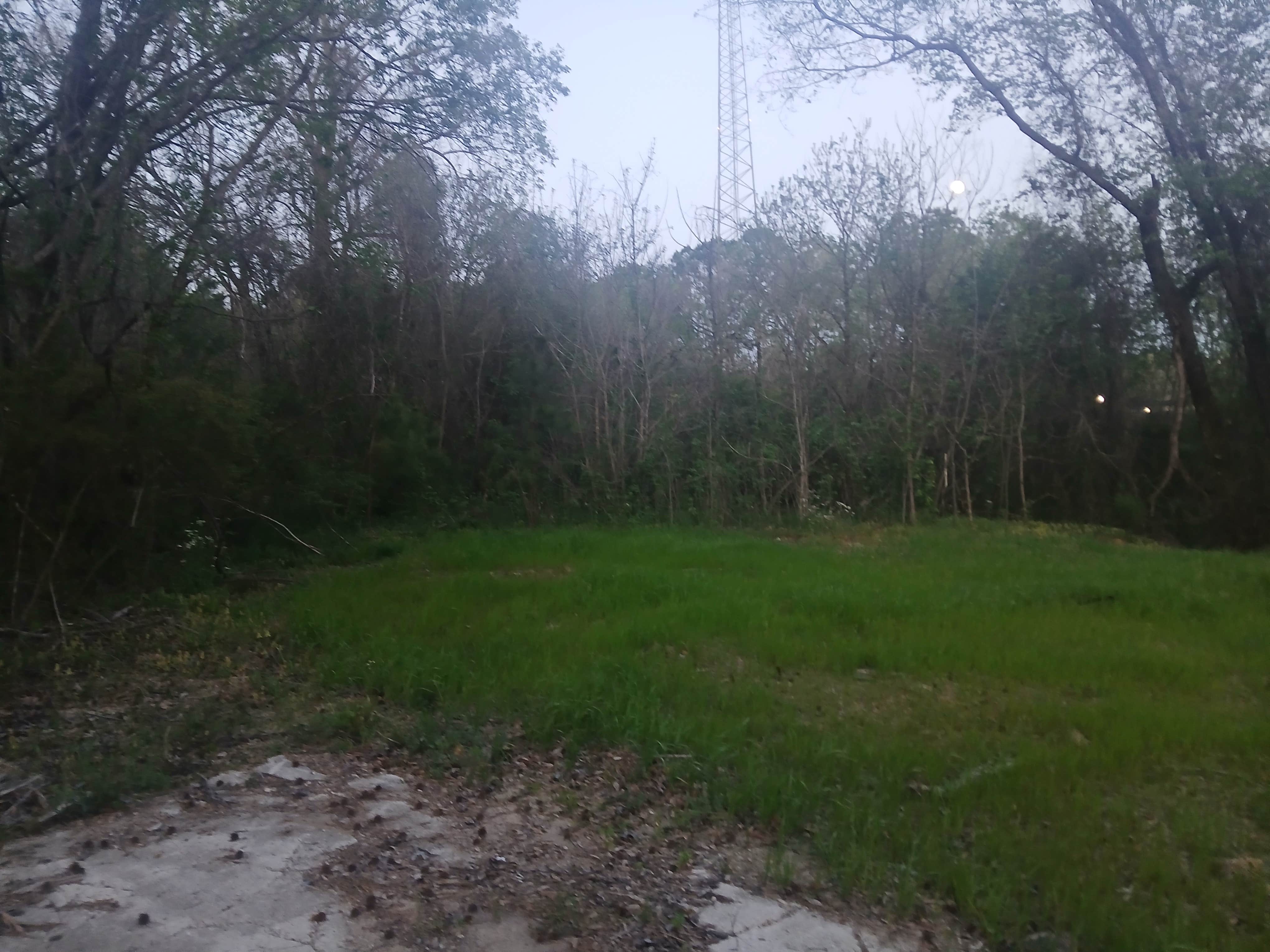 Camper-submitted photo at Gray Nature Preserve near Spring Garden, AL