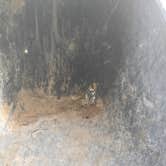 Review photo of Mammoth Cave Horse Camp — Mammoth Cave National Park by Jan C., May 16, 2026