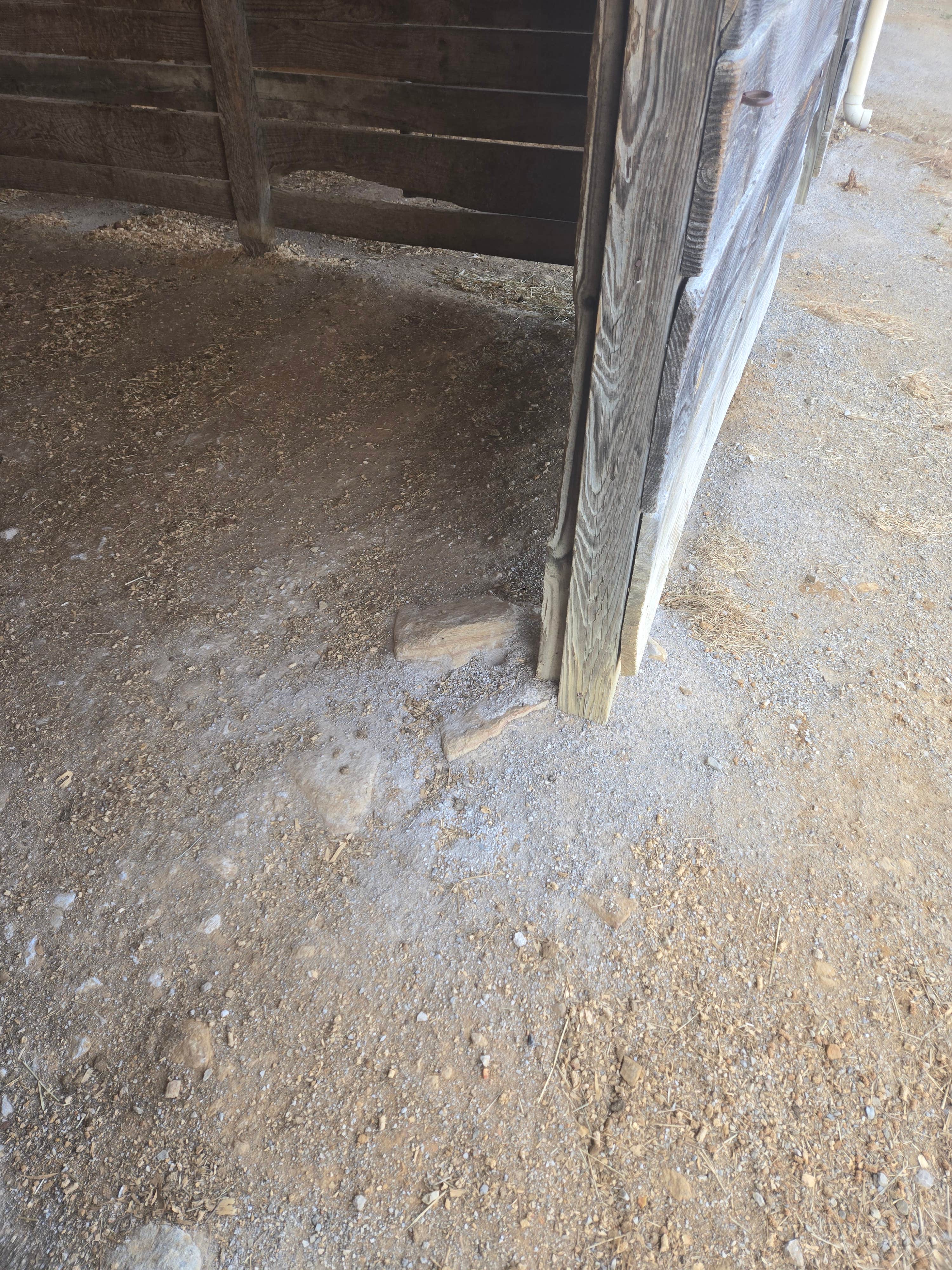 Camper-submitted photo at Mammoth Cave Horse Camp — Mammoth Cave National Park near Bowling Green, KY