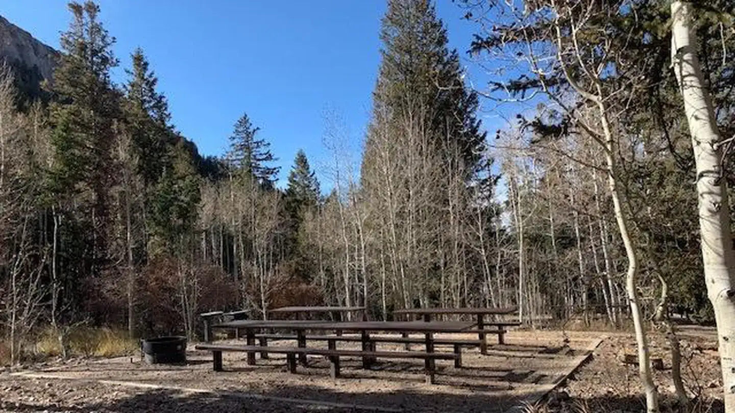 Camping near Goshute Canyon and Goshute Cave: Timber Creek Campground, Ely, Nevada