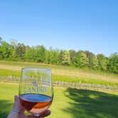Review photo of Landry Vineyards Grape Escape RV Sites by Callie F., May 18, 2026