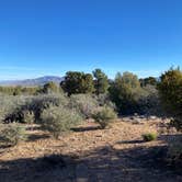 Review photo of Hwy 193 BLM Dispersed by Patricia N., May 18, 2026