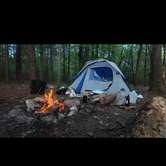 Review photo of South of Sand Dunes State Forest by Larisa M., May 18, 2026