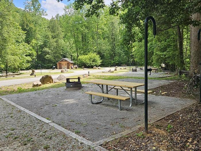 Camper-submitted photo at Curtis Creek Campground near Linville, NC